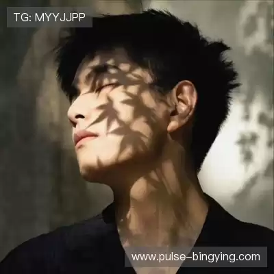 农杉菁