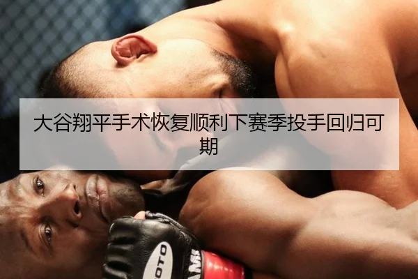 da-gu-xiang-ping-shou-shu-hui-fu-shun-li-xia-sai-ji-tou-shou-hui-gui-ke-qi-2-466.jpg